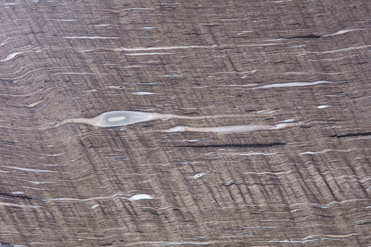Texture di pietra naturale: granito 15